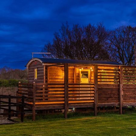 Hillside View Shepherds Hut - Ockeridge Rural Retreats Little Witley Kültér fotó